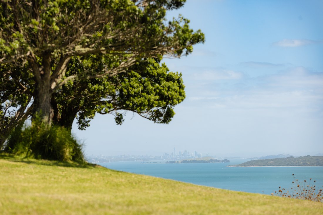 Waiheke Island, Auckland, New Zealand 4 - 18982290