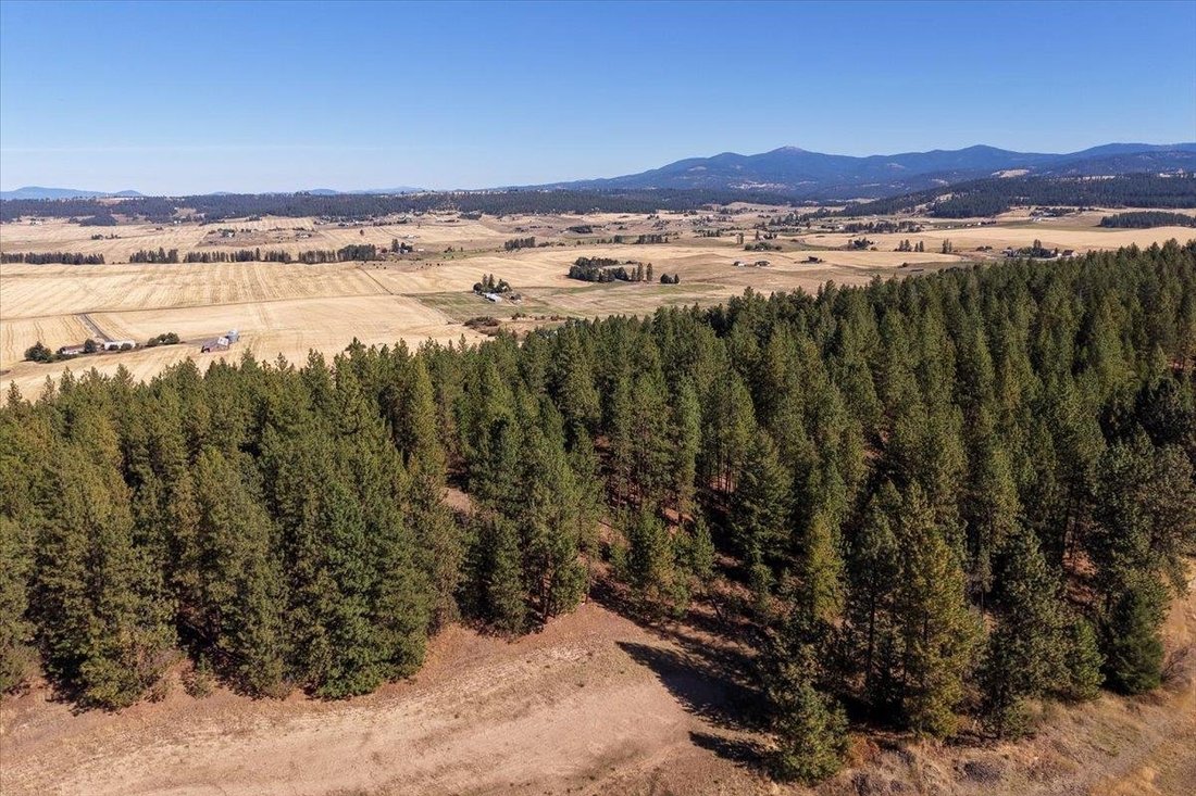 Land in Spokane, Washington, United States 5 - 18982251
