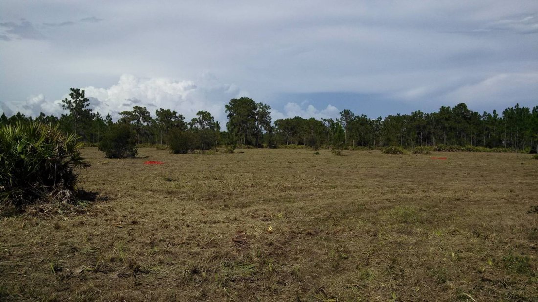 Land in Myakka City, Florida, United States 3 - 18982571