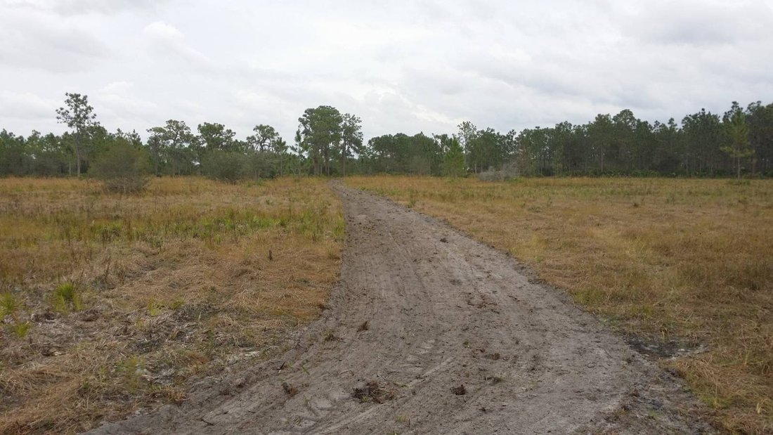 Land in Myakka City, Florida, United States 5 - 18982571