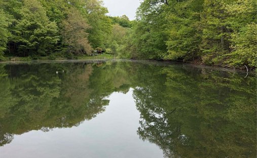 House in Chappaqua, New York, United States 1
