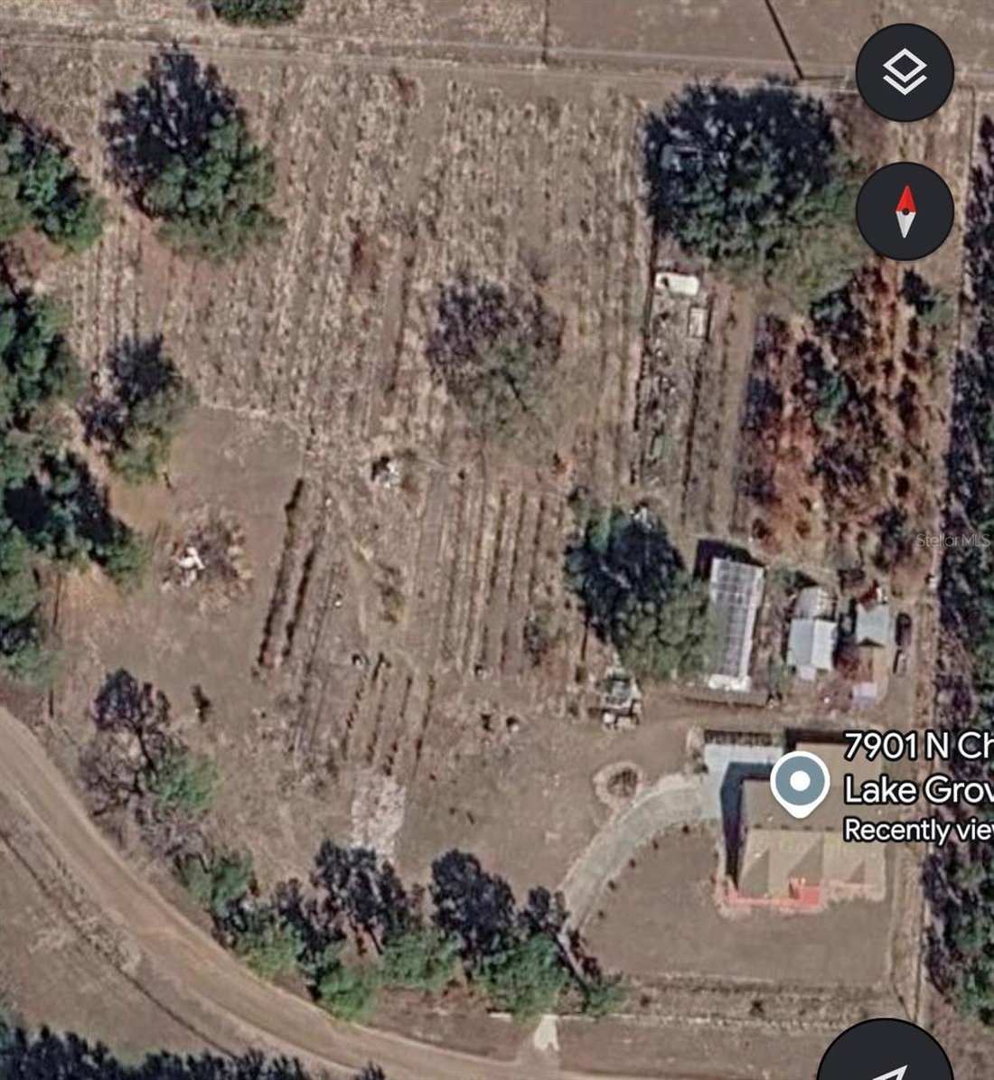 Farm Ranch in Groveland, Florida, United States 4 - 18983166