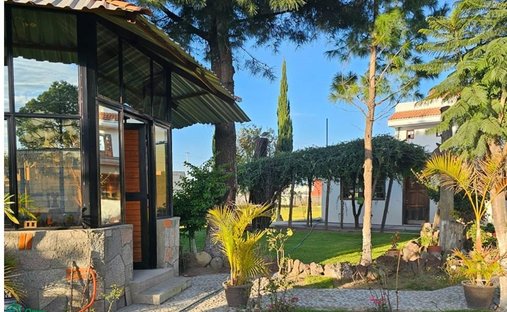 House in Encinos, Puebla, Mexico 1