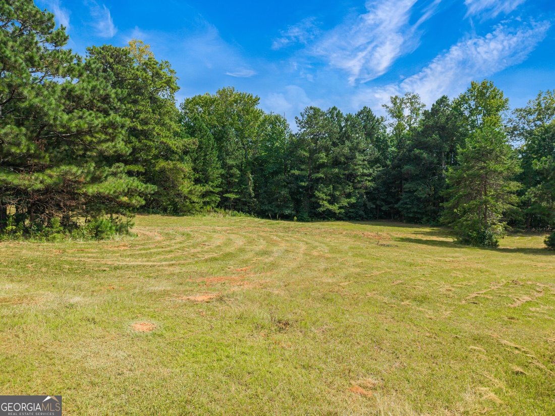 Farm Ranch in Conyers, Georgia, United States 3 - 18983213