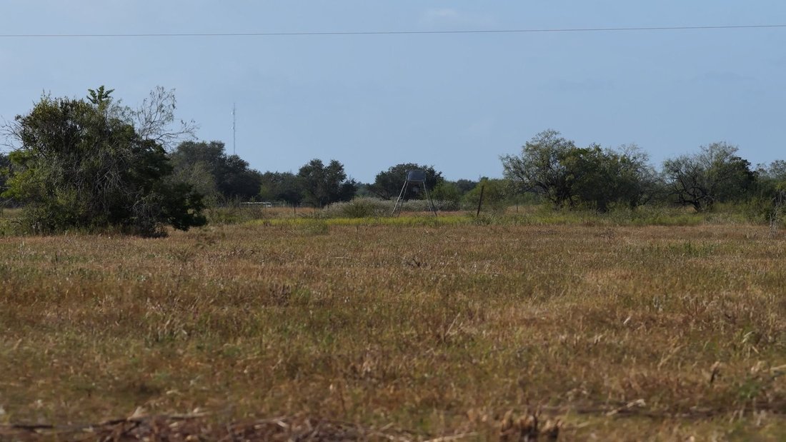Farm Ranch in Refugio, Texas, United States 4 - 18983556