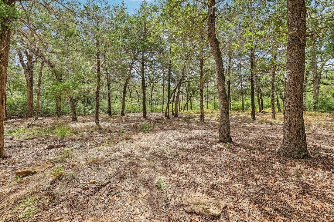 House in Smithville, Texas, United States 3 - 17823736