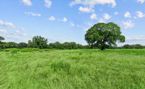 Land in Oakhurst, Texas, United States 1
