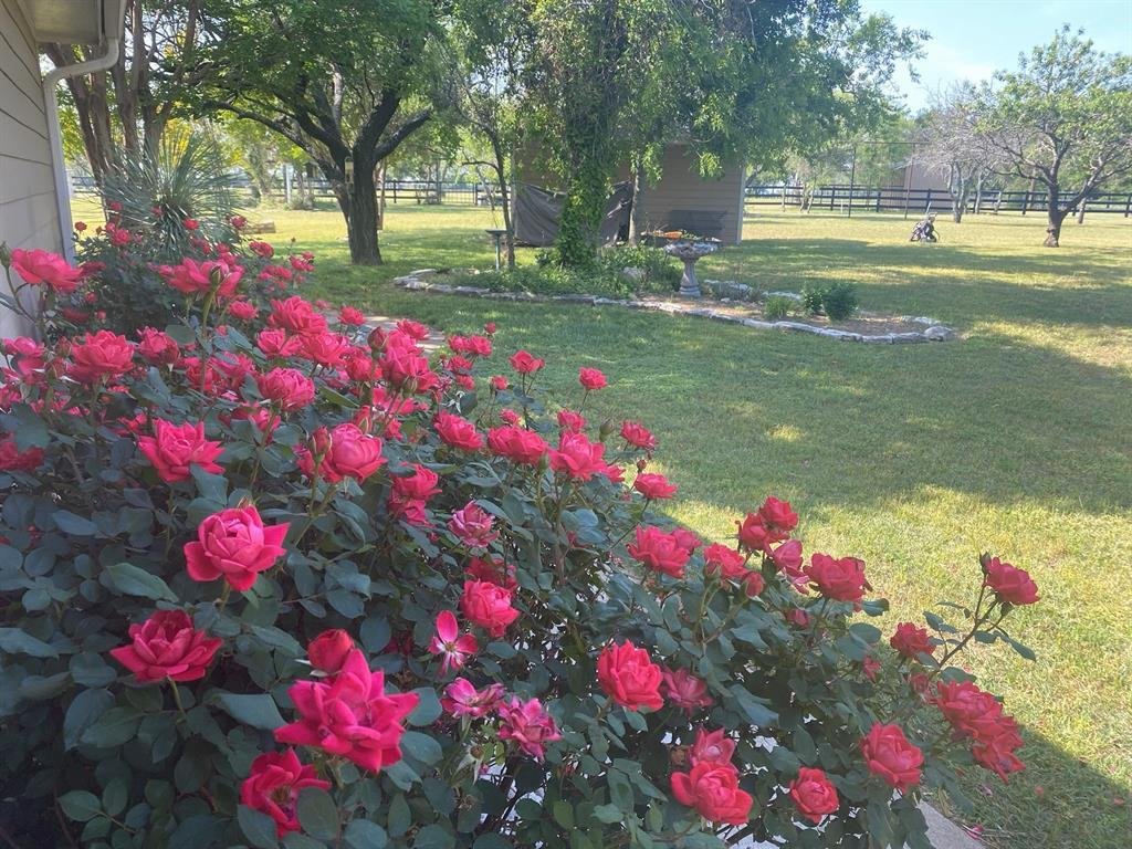 Farm Ranch in Stephenville, Texas, United States 4 - 18983641