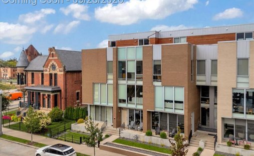 Townhouse in Detroit, Michigan, United States 1