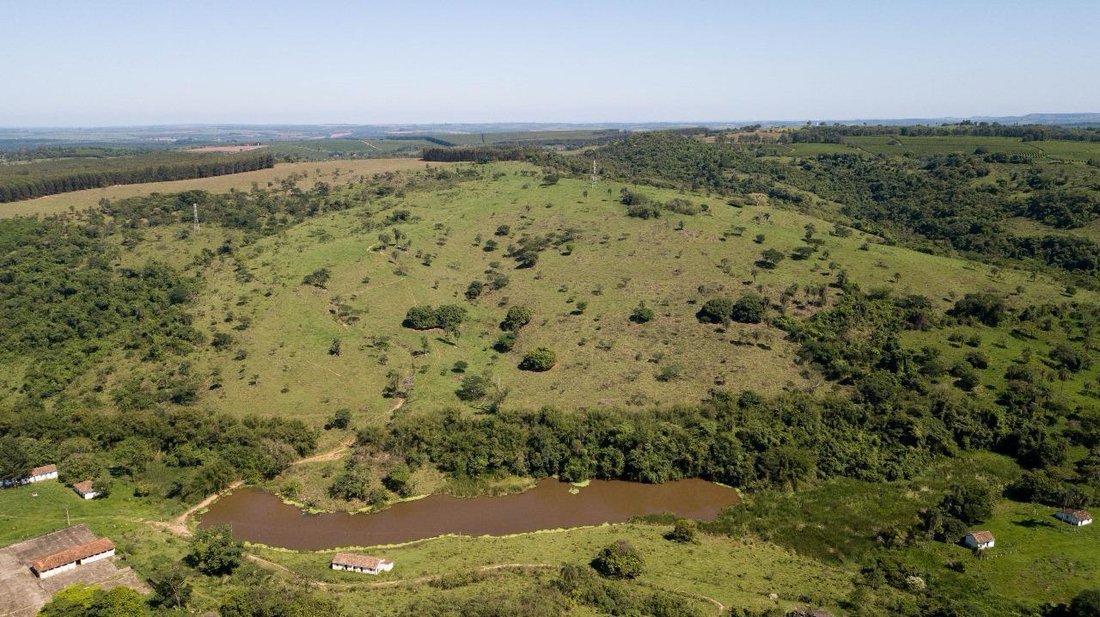 Farm Ranch in Espírito Santo do Pinhal, Espírito Santo do Pinhal, Brazil 3 - 18983571