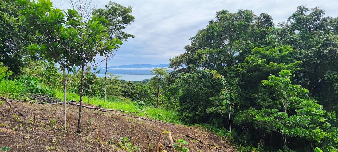 Land in Pavones, Puntarenas Province, Costa Rica 3 - 18637527