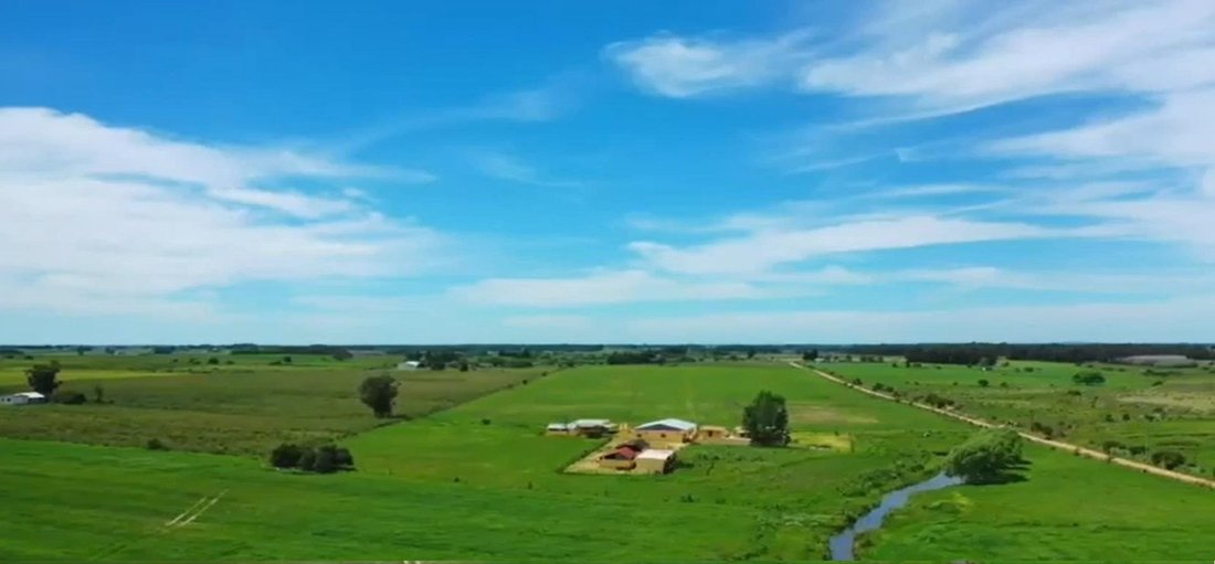 Farm Ranch in Sauce, Canelones Department, Uruguay 4 - 18983441
