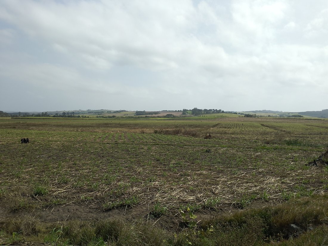 Farm Ranch in Simbithi Eco Estate, KwaZulu-Natal, South Africa 2 - 18983488