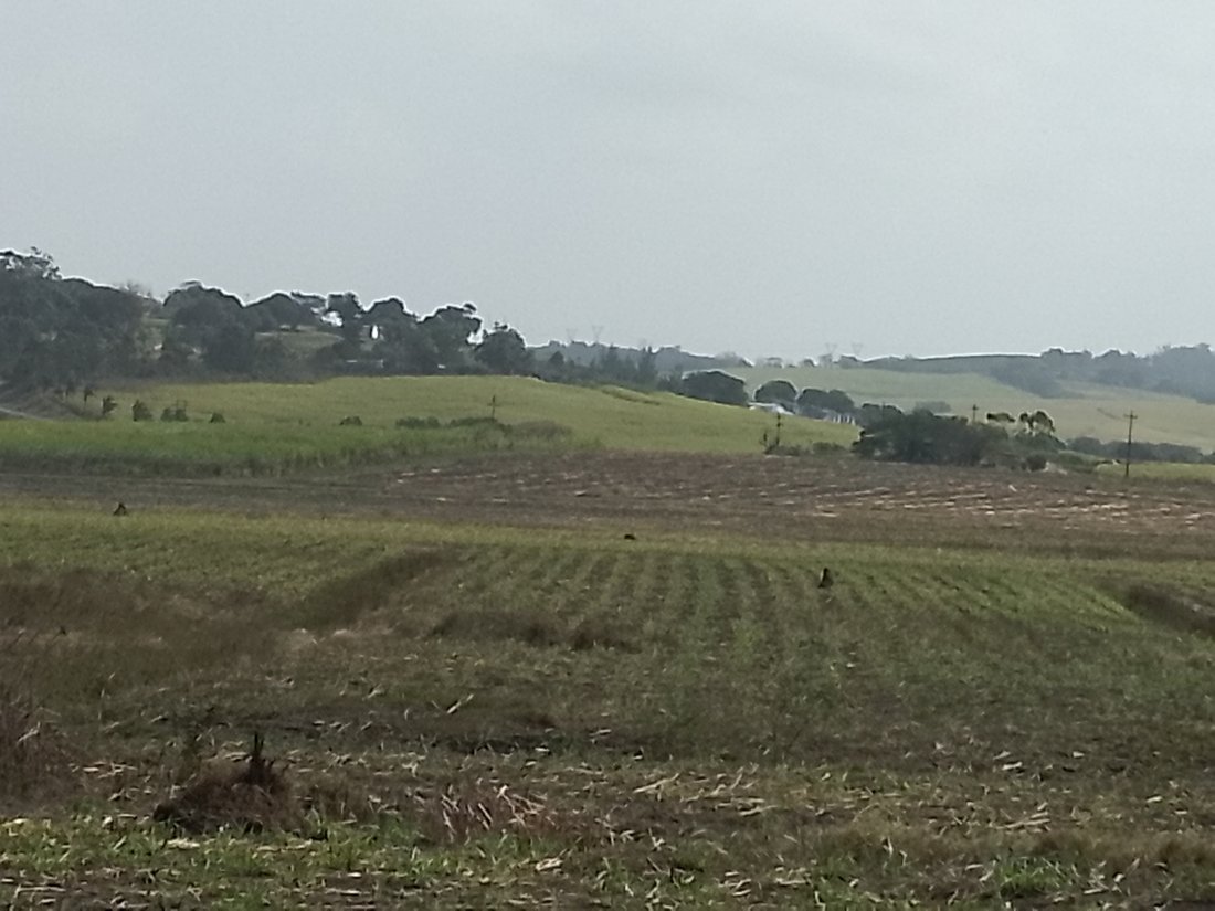 Farm Ranch in Simbithi Eco Estate, KwaZulu-Natal, South Africa 4 - 18983488
