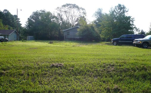 House in Holly Springs, North Carolina, United States 1