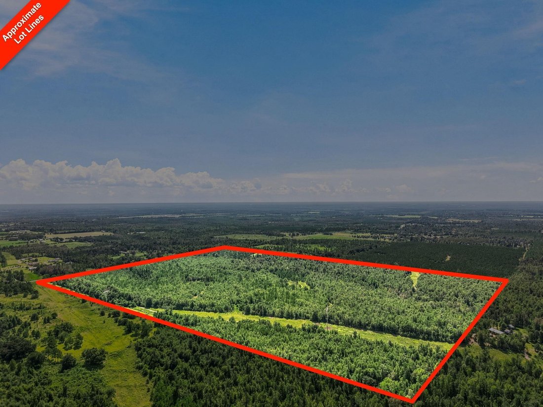 Land in Marianna, Florida, United States 2 - 18743747