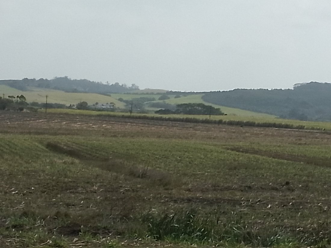 Farm Ranch in Simbithi Eco Estate, KwaZulu-Natal, South Africa 5 - 18983488