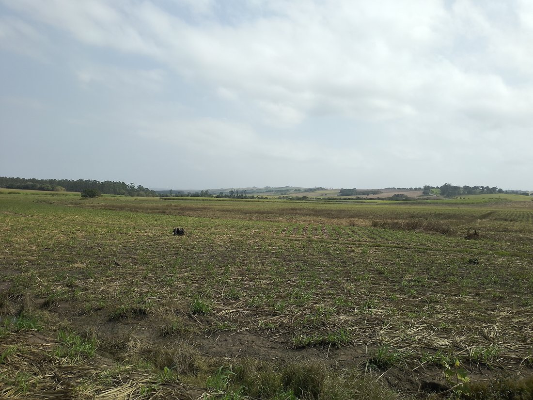 Farm Ranch in Simbithi Eco Estate, KwaZulu-Natal, South Africa 3 - 18983488