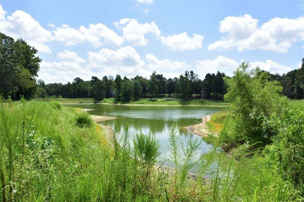 Farm Ranch in Palestine, Texas, United States 4 - 18983631