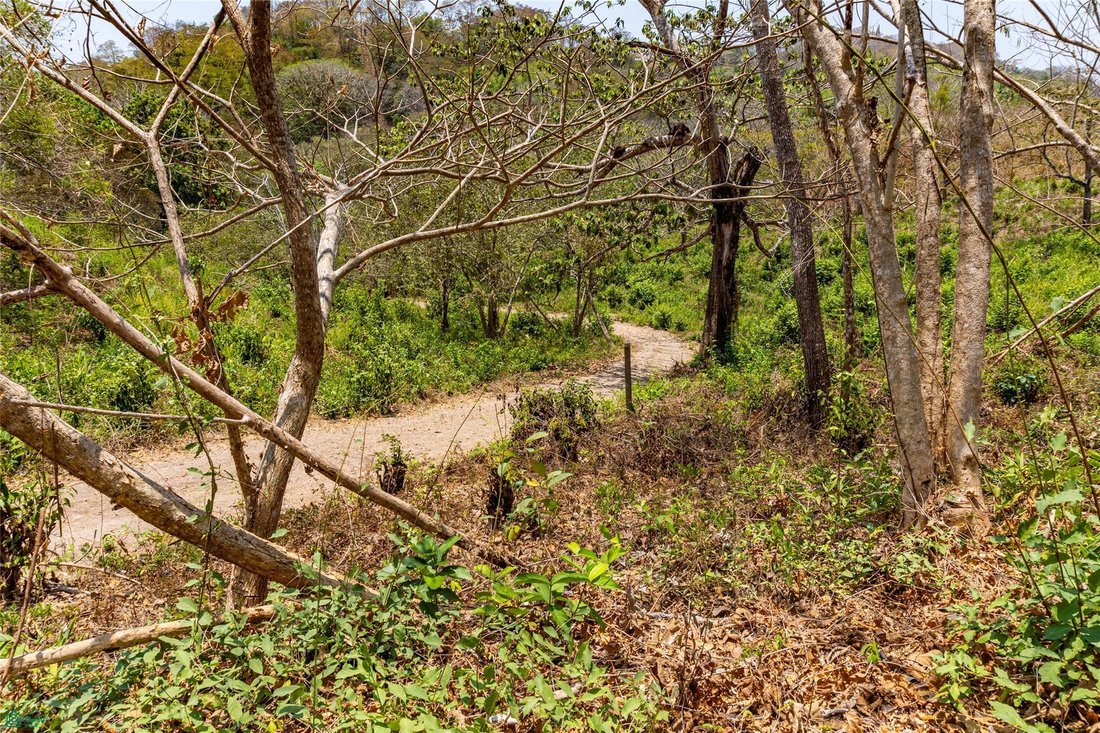 Land in Sámara, Provinz Guanacaste, Costa Rica 4 - 17811180