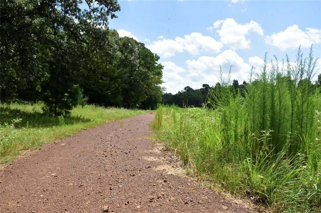 Farm Ranch in Palestine, Texas, United States 5 - 18983631