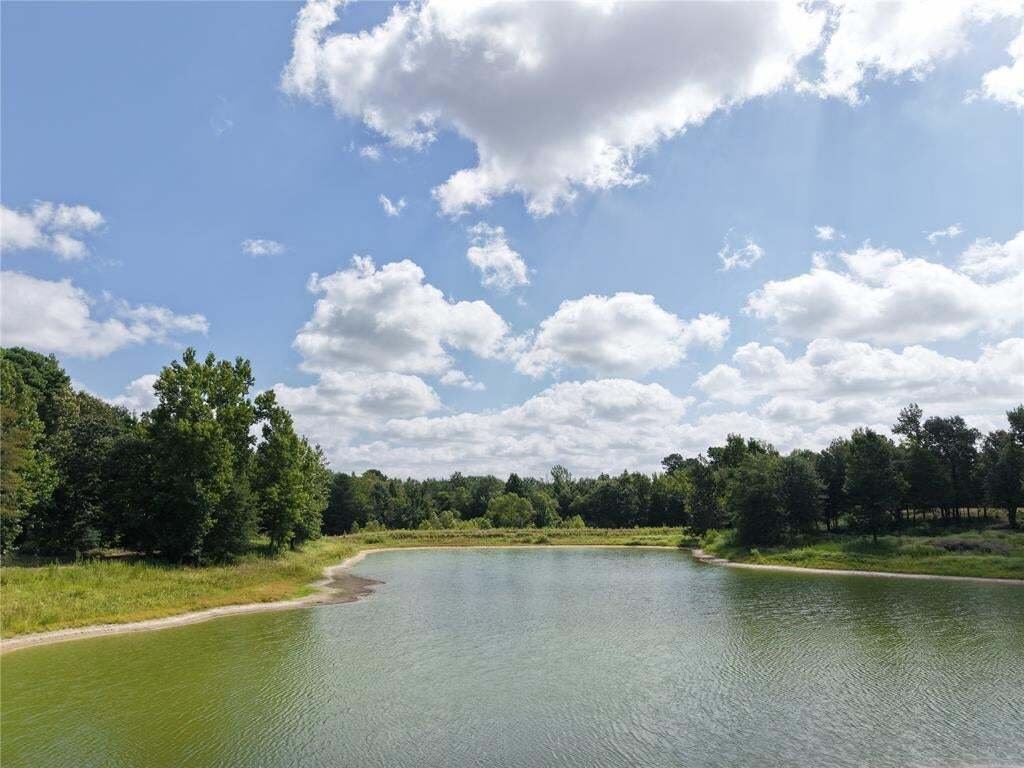 Farm Ranch in Palestine, Texas, United States 1 - 18983631