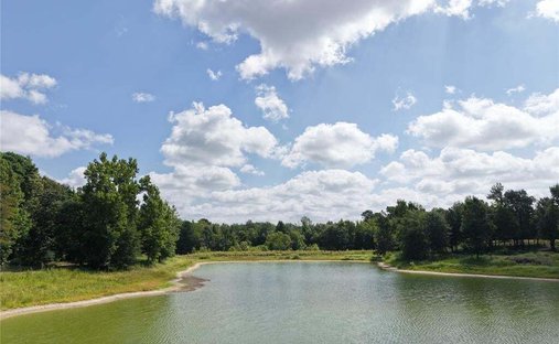 Farm Ranch in Palestine, Texas, United States 1