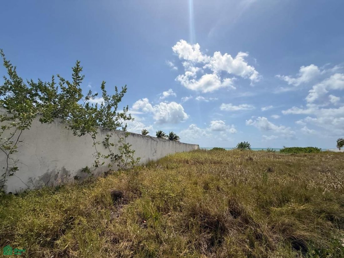 Land in Caracol, Quintana Roo, Mexico 2 - 17811021