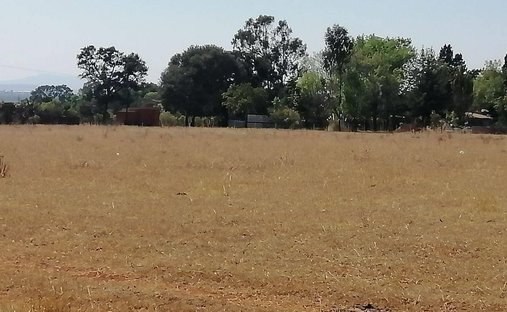 Land in Unión de Guadalupe, Jalisco, Mexiko 1