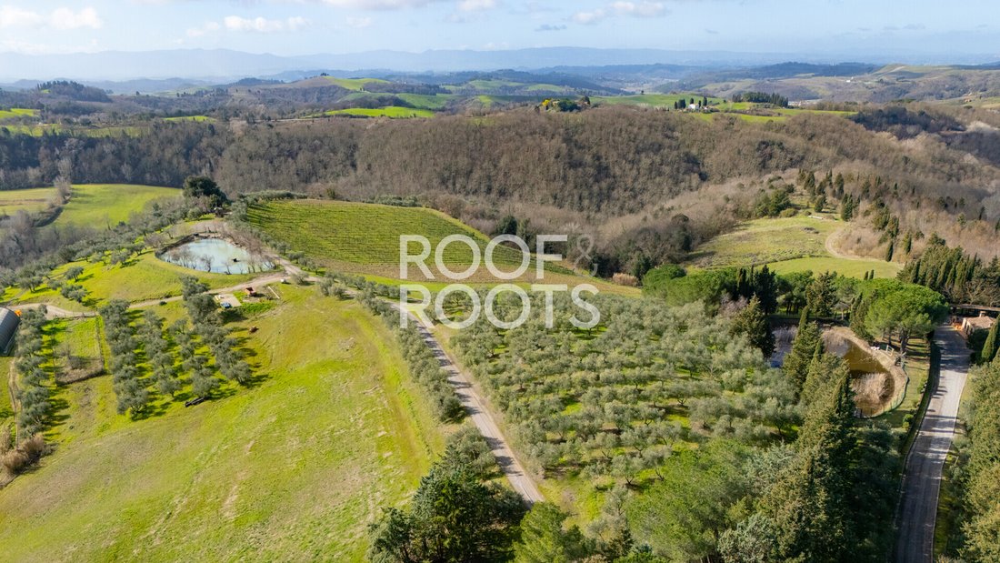 Villa in Montaione, Tuscany, Italy 5 - 18984013
