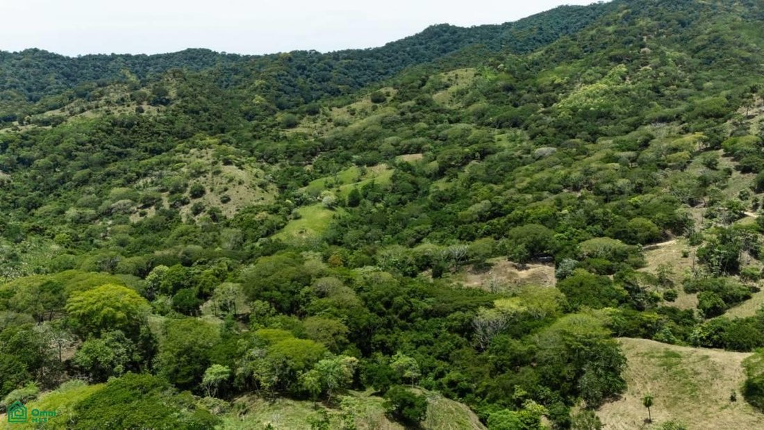 Land in Cabo Blanco, Puntarenas Province, Costa Rica 5 - 18915203