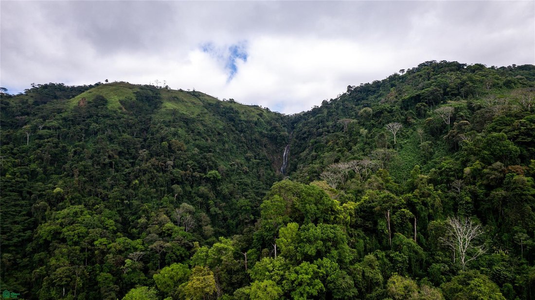 Land in Corredor, Costa Rica 4 - 18640015