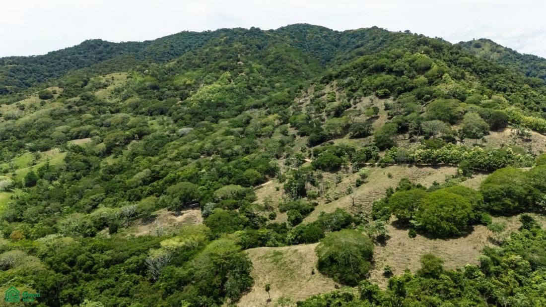 Land in Cabo Blanco, Puntarenas Province, Costa Rica 4 - 18915203