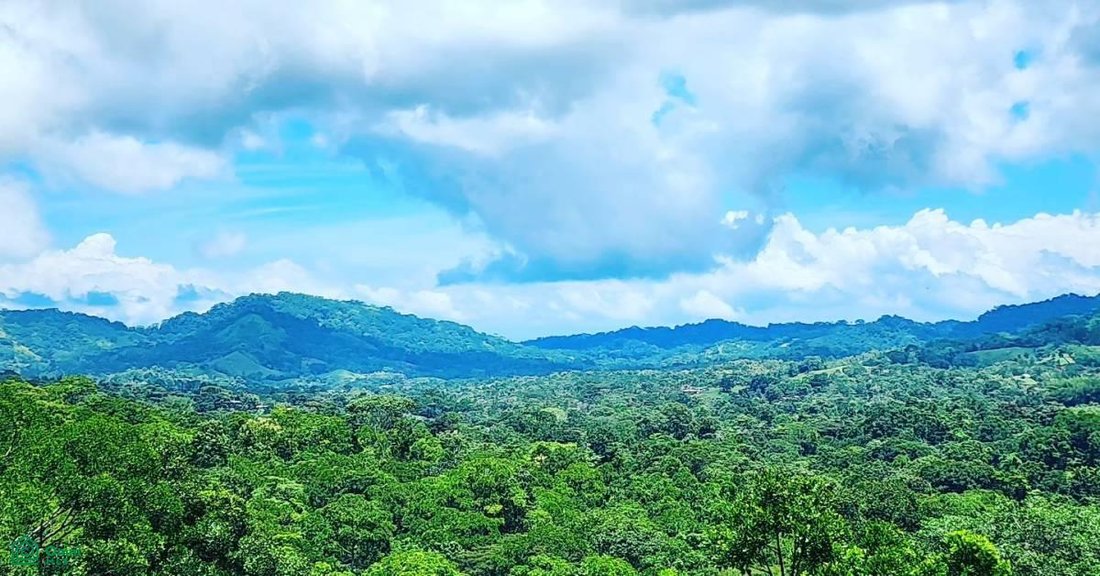 Land in Carara, San José, Costa Rica 3 - 17811421