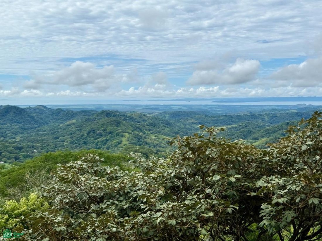 Terreno en Puntarenas, Monteverde, Costa Rica 1 - 17811425