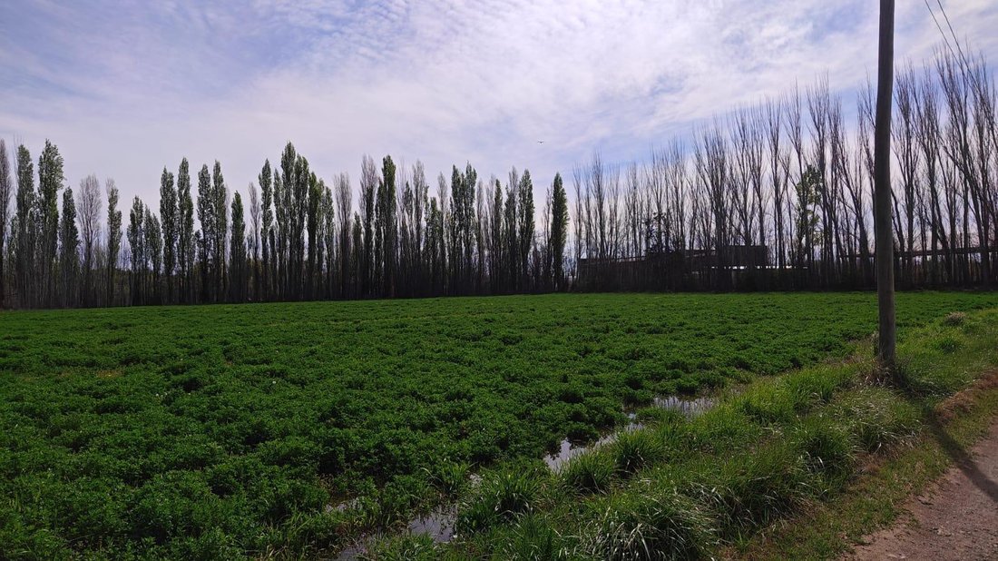 Terrain à Cipolletti, Río Negro, Argentine 5 - 18922536
