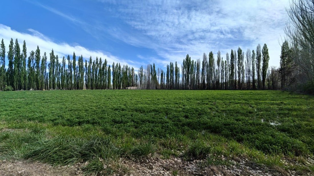 Terrain à Cipolletti, Río Negro, Argentine 2 - 18922536