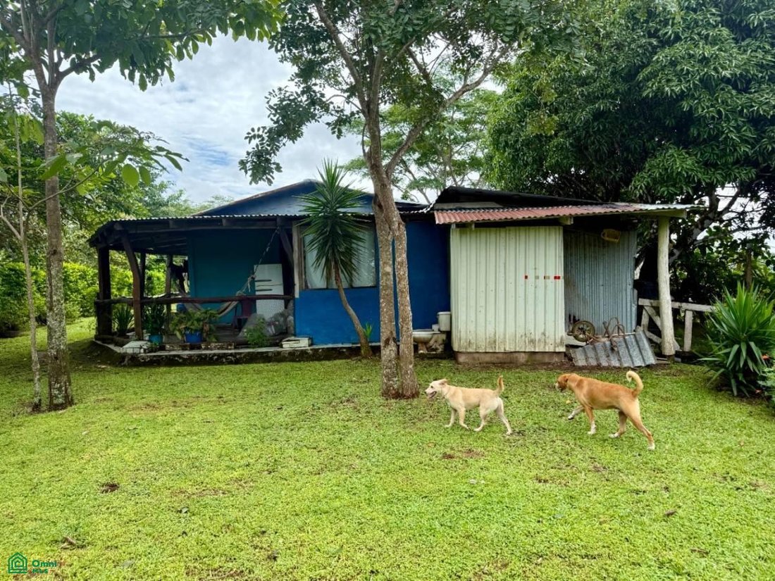 Terreno en Puntarenas, Monteverde, Costa Rica 3 - 17811425