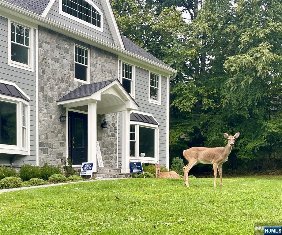 House in Saddle River, New Jersey, United States 3 - 18501102