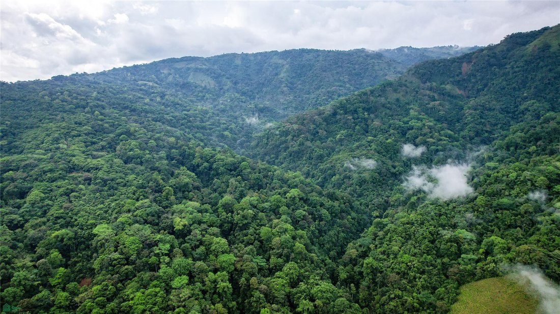 Land in Corredor, Costa Rica 5 - 18640015