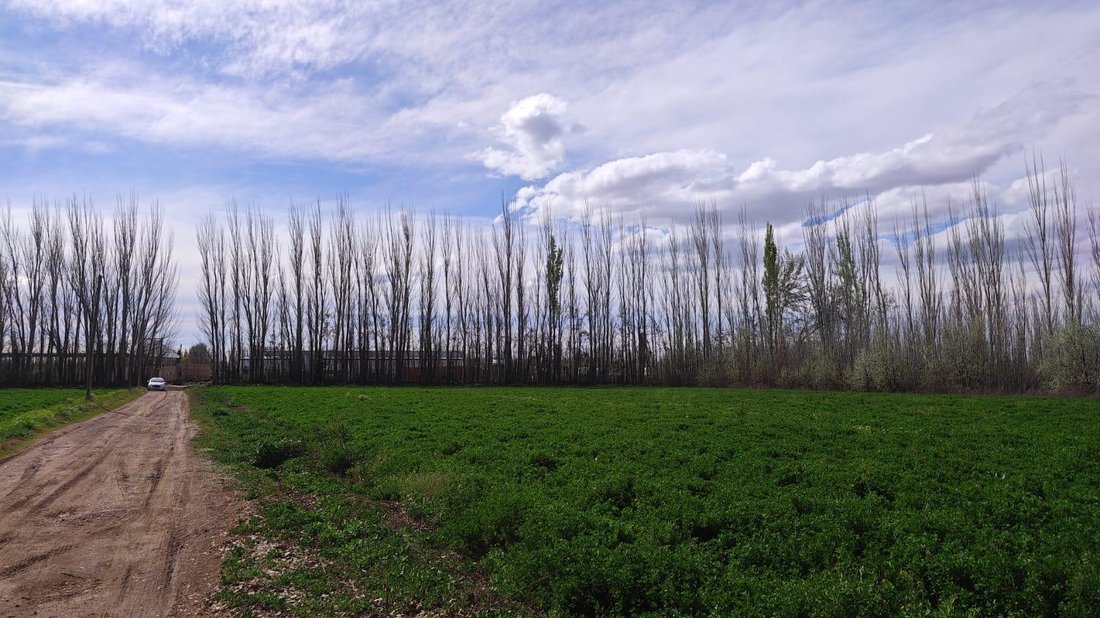 Terrain à Cipolletti, Río Negro, Argentine 3 - 18922536