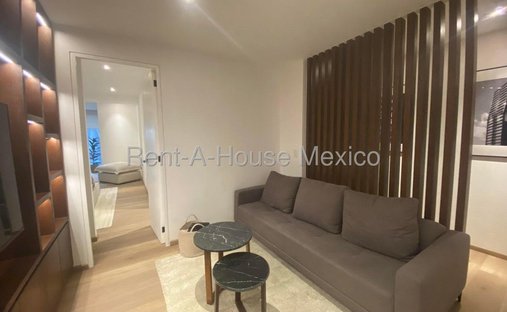 Apartment in Mexico City, Mexico 1