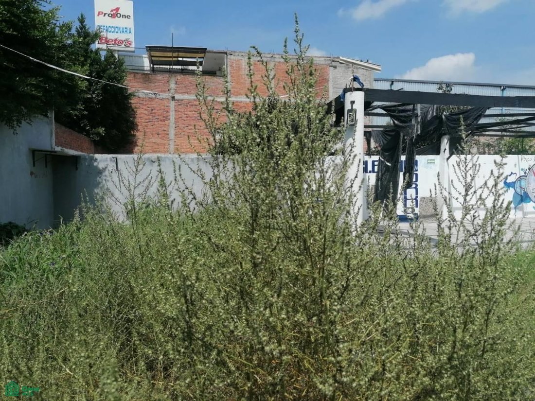 Terreno a San Juan del Río, Querétaro, Messico 4 - 17815196