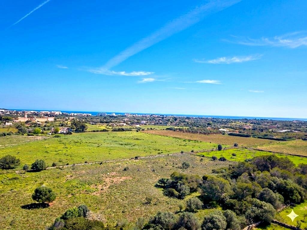 Land in Manacor, Balearic Islands, Spain 3 - 18985590
