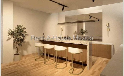 House in Mexico City, Mexico 1