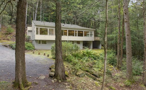 House in Willow, New York, United States 1