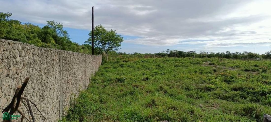Land in Yalcón, Yucatan, Mexico 3 - 18863838