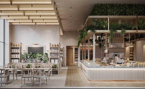 Apartment in Mexico City, Mexico 1