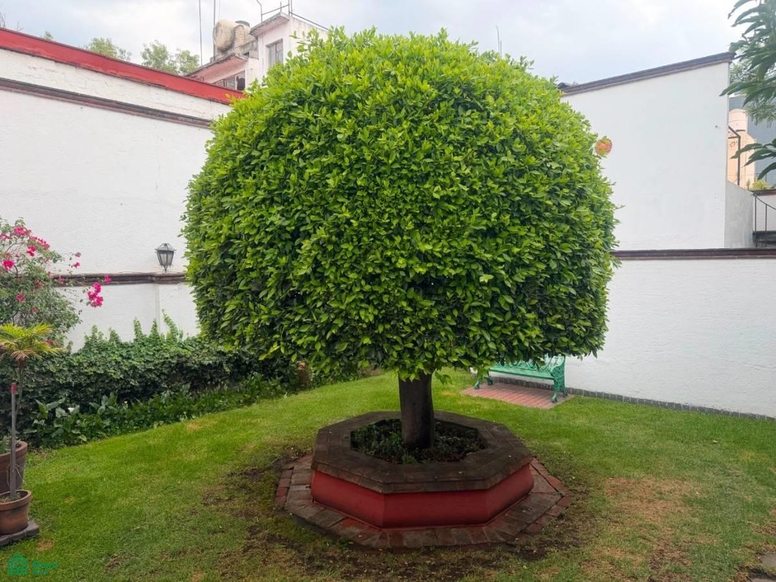 House in Santa Catarina Yecahuitzotl, Mexico City, Mexico 5 - 18098353