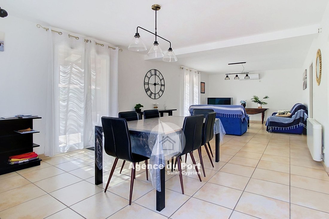 Villa in Zone Plage, Saint-Cyprien, France 2 - 18985751